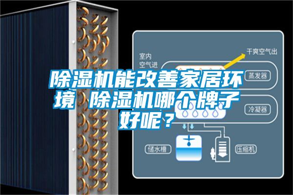 除濕機能改善家居環(huán)境 除濕機哪個牌子好呢？