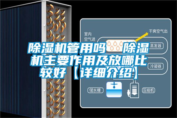 除濕機管用嗎  除濕機主要作用及放哪比較好【詳細(xì)介紹】
