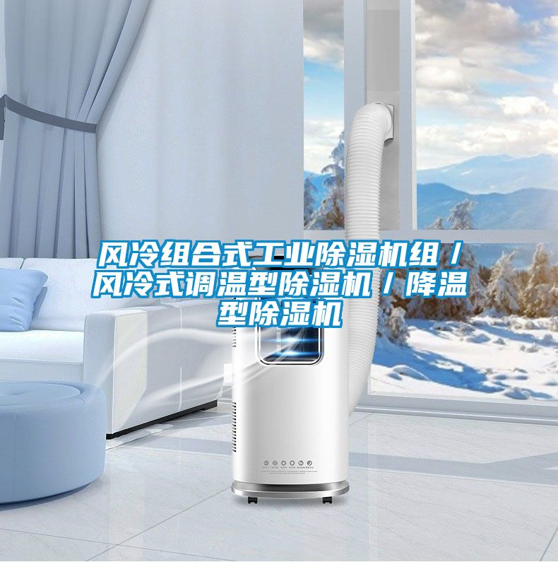 風冷組合式工業(yè)除濕機組／風冷式調(diào)溫型除濕機／降溫型除濕機
