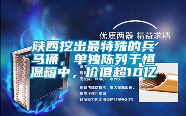 陜西挖出最特殊的兵馬俑，單獨陳列于恒溫箱中，價值超10億