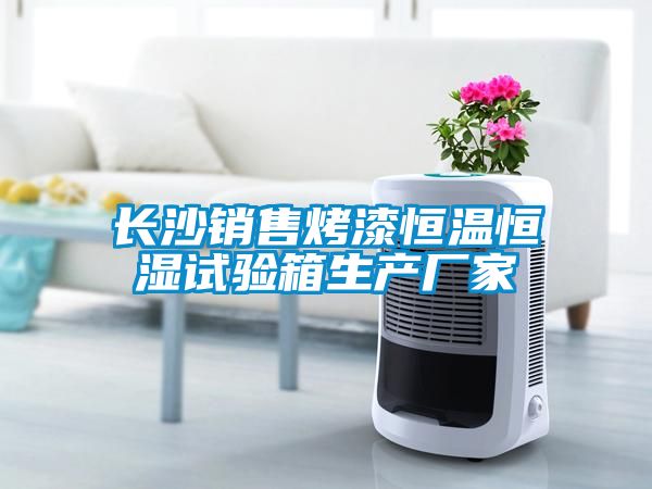 長沙銷售烤漆恒溫恒濕試驗(yàn)箱生產(chǎn)廠家