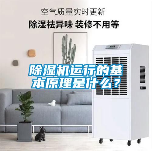 除濕機(jī)運(yùn)行的基本原理是什么？