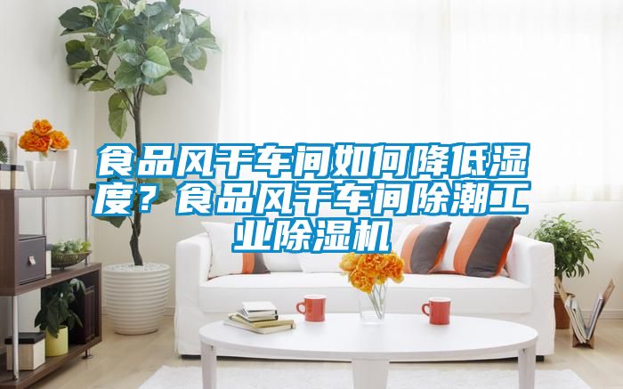 食品風干車間如何降低濕度？食品風干車間除潮工業(yè)除濕機