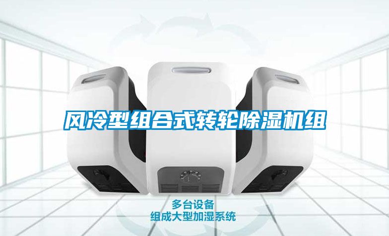風冷型組合式轉(zhuǎn)輪除濕機組