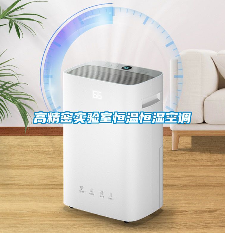 高精密實驗室恒溫恒濕空調(diào)