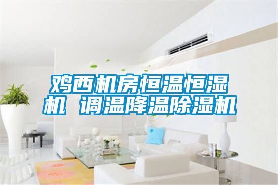 雞西機房恒溫恒濕機 調(diào)溫降溫除濕機