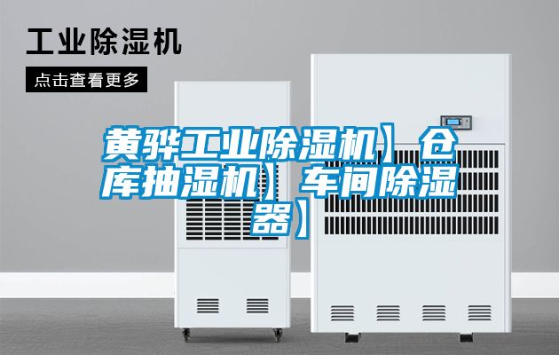 黃驊工業(yè)除濕機】倉庫抽濕機】車間除濕器】