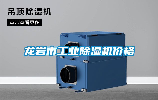 龍巖市工業(yè)除濕機價格