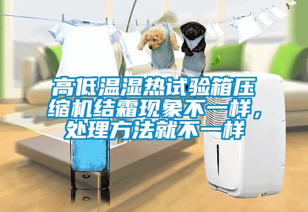 高低溫濕熱試驗箱壓縮機結(jié)霜現(xiàn)象不一樣，處理方法就不一樣