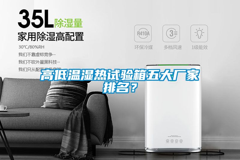 高低溫濕熱試驗箱五大廠家排名？