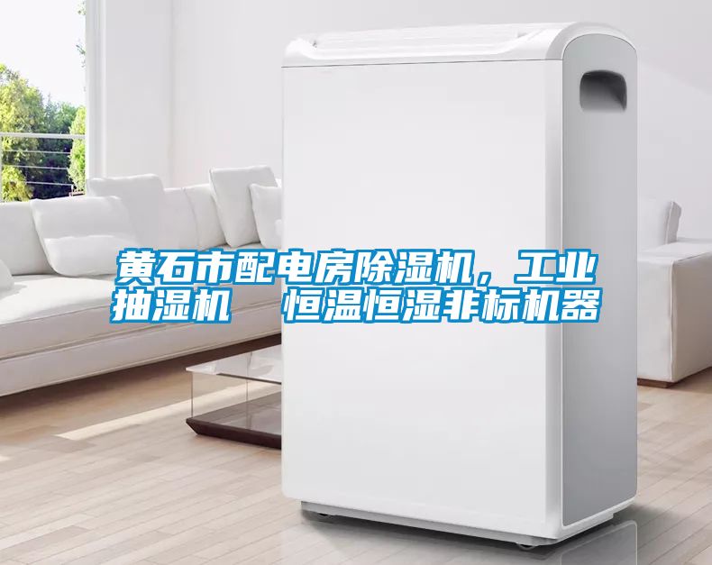 黃石市配電房除濕機，工業(yè)抽濕機  恒溫恒濕非標機器