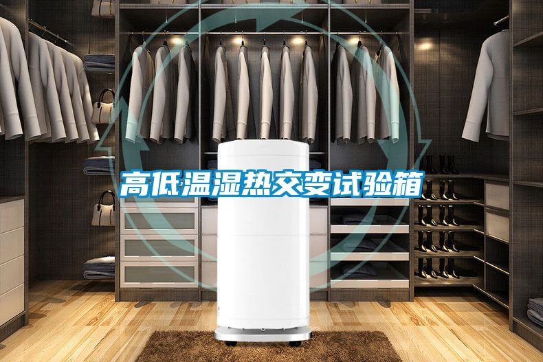 高低溫濕熱交變?cè)囼?yàn)箱