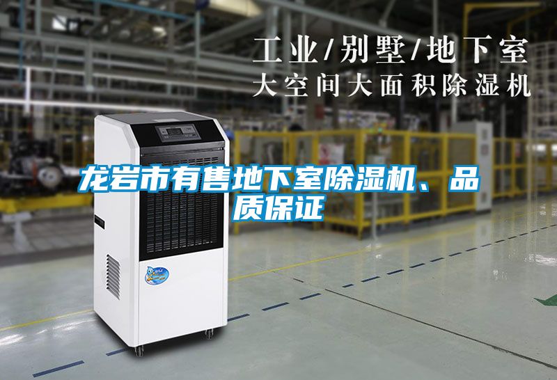 龍巖市有售地下室除濕機(jī)、品質(zhì)保證