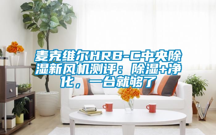 麥克維爾HRB-C中央除濕新風機測評：除濕+凈化，一臺就夠了