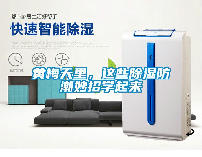 黃梅天里，這些除濕防潮妙招學起來