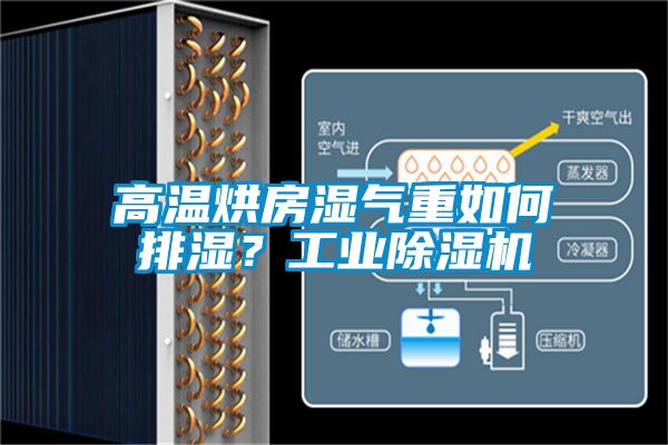 高溫烘房濕氣重如何排濕？工業(yè)除濕機(jī)