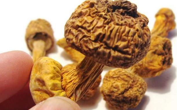 巴西菇、姬松茸烘干機(jī)-怎樣烘干色澤好且菇體褶片完整？
