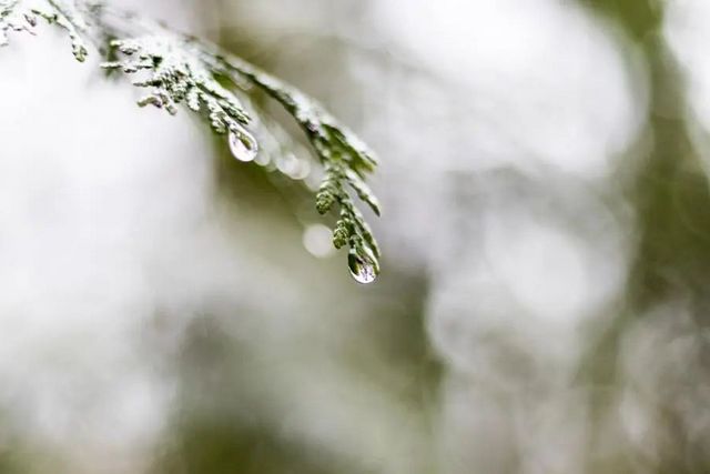 空氣濕度大帶來的危害有哪些，你知道嗎？