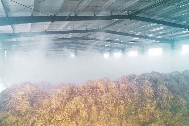 提升煙葉加工質(zhì)量，高效回潮很重要 煙葉除濕機(jī)