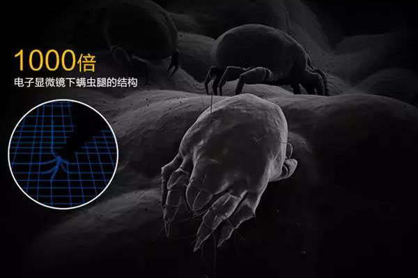 螨蟲高發(fā)季，家用除濕機除螨有妙計！