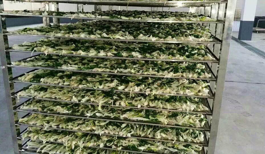 菜干需求一直都很大，蔬菜烘干機(jī)很有市場(chǎng)