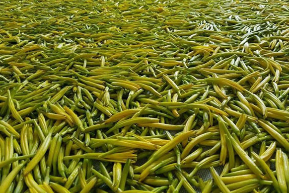 無硫金針菜烘干如何保持品相？不發(fā)黑？