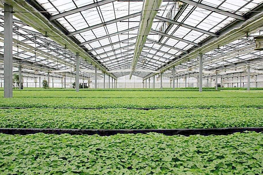 除濕器如何解決高濕度、多種危害的溫室除濕問題？